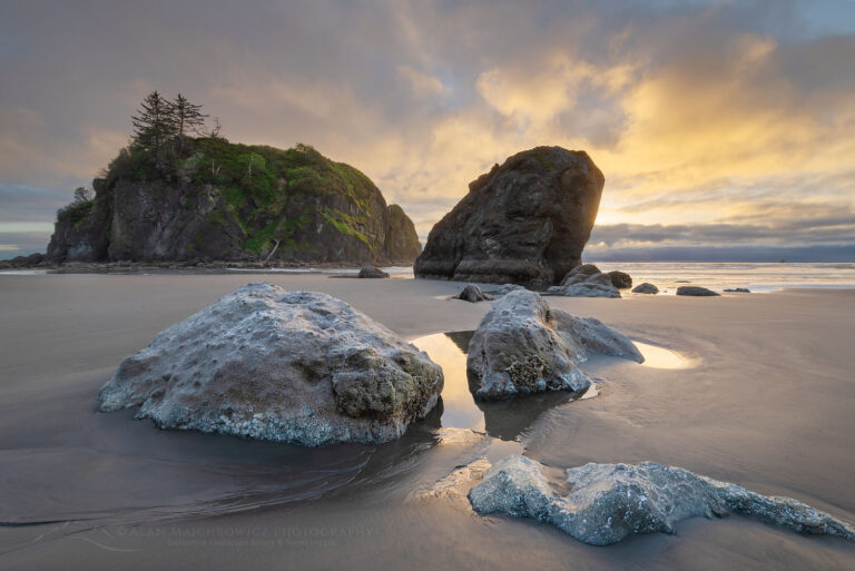 Ruby Beach Olympic National Park Alan Majchrowicz Photography