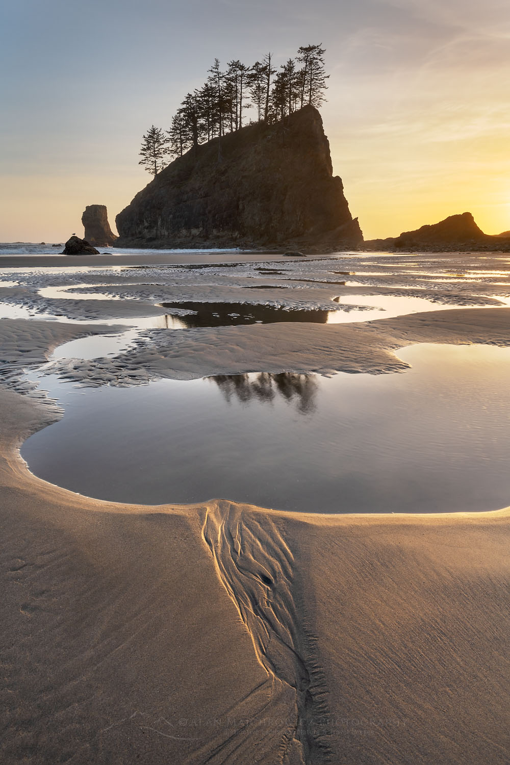 Second Beach Olympic National Park Alan Majchrowicz Photography