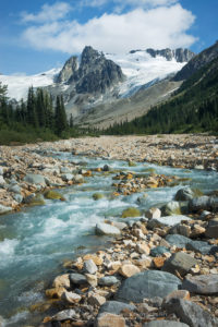 Salal Creek Coast Range British Columbia