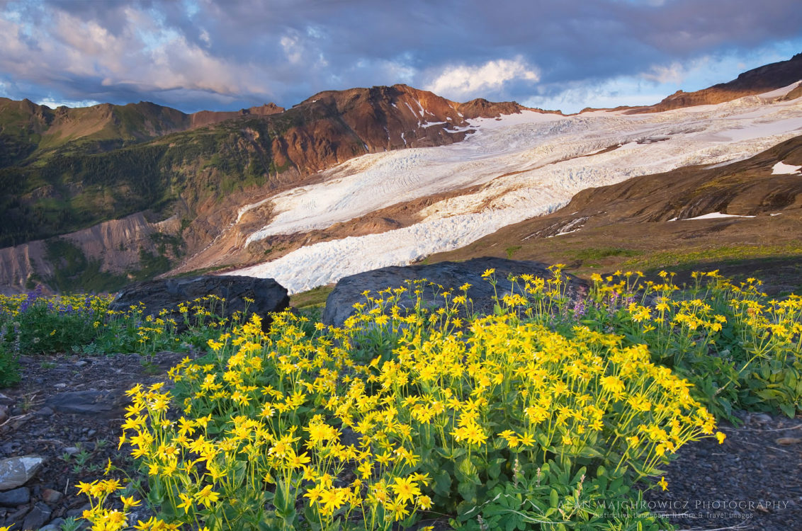 North Cascades Archives - Alan Majchrowicz Photography