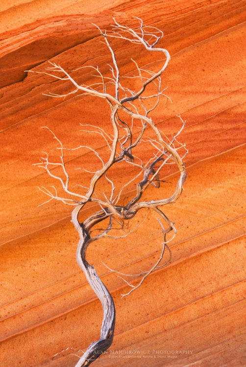 South Coyote Buttes, Vermilion Cliffs Wilderness South Coyote Buttes, Vermilion Cliffs Wilderness