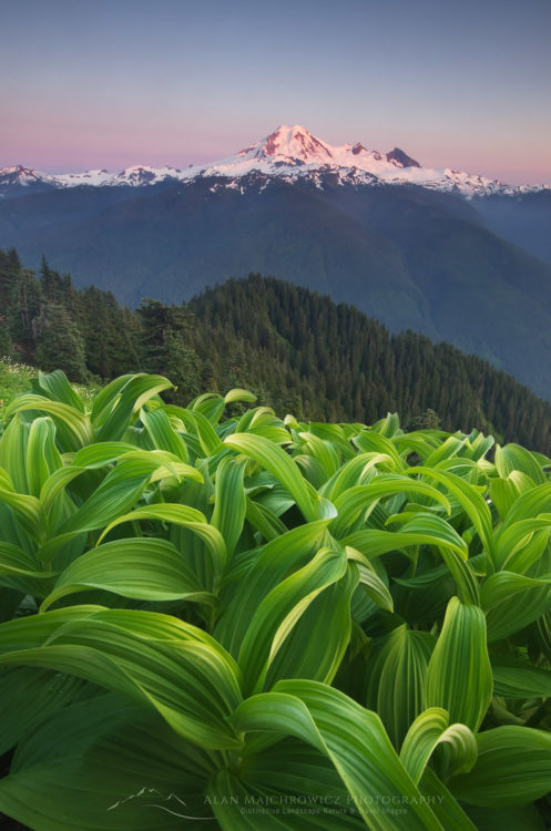 Mount Baker Wilderness North Cascades Mount Baker Wilderness North Cascades