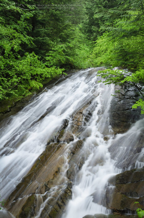 Waterfall North Cascades