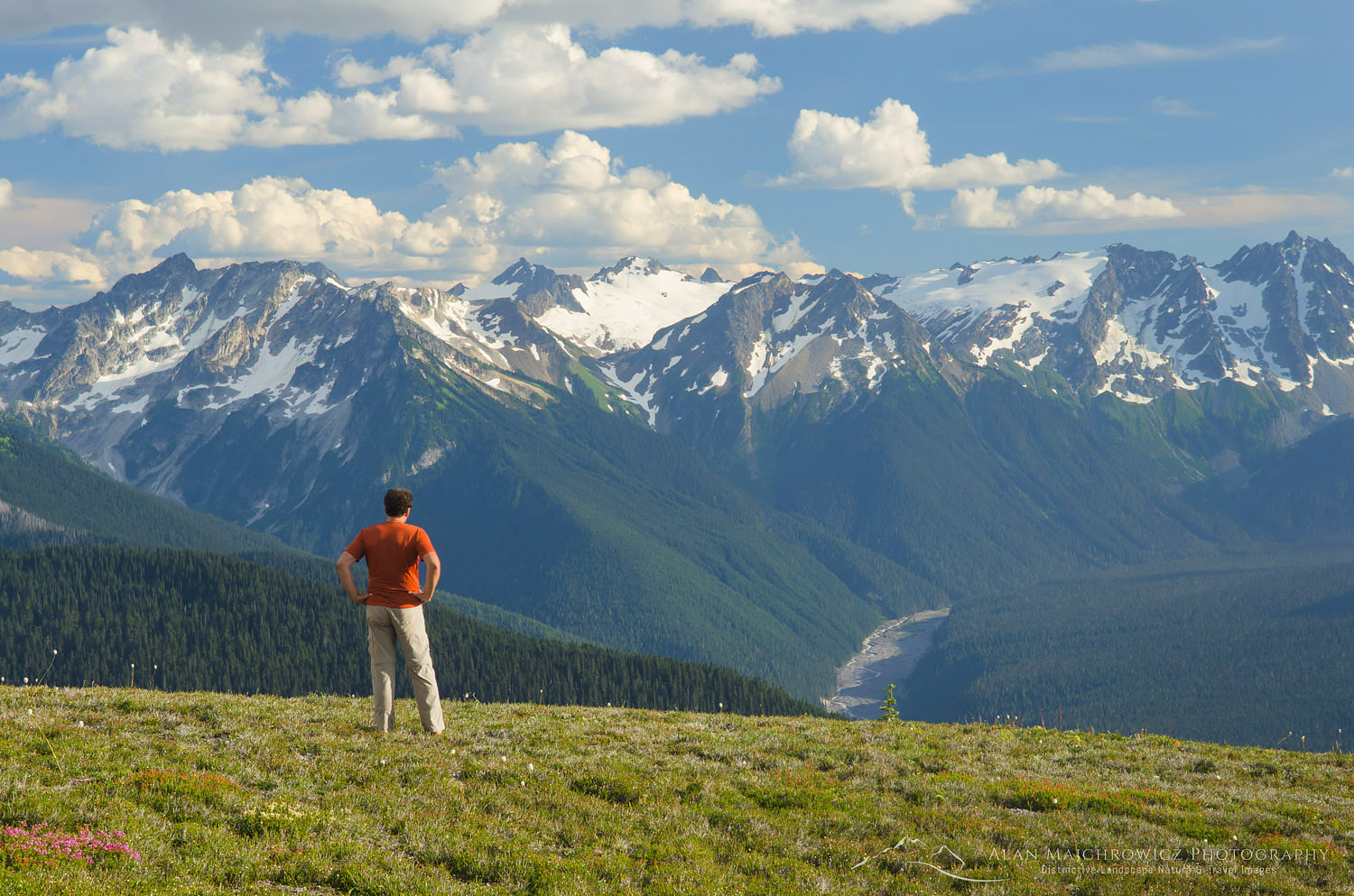 are dogs allowed in glacier peak wilderness