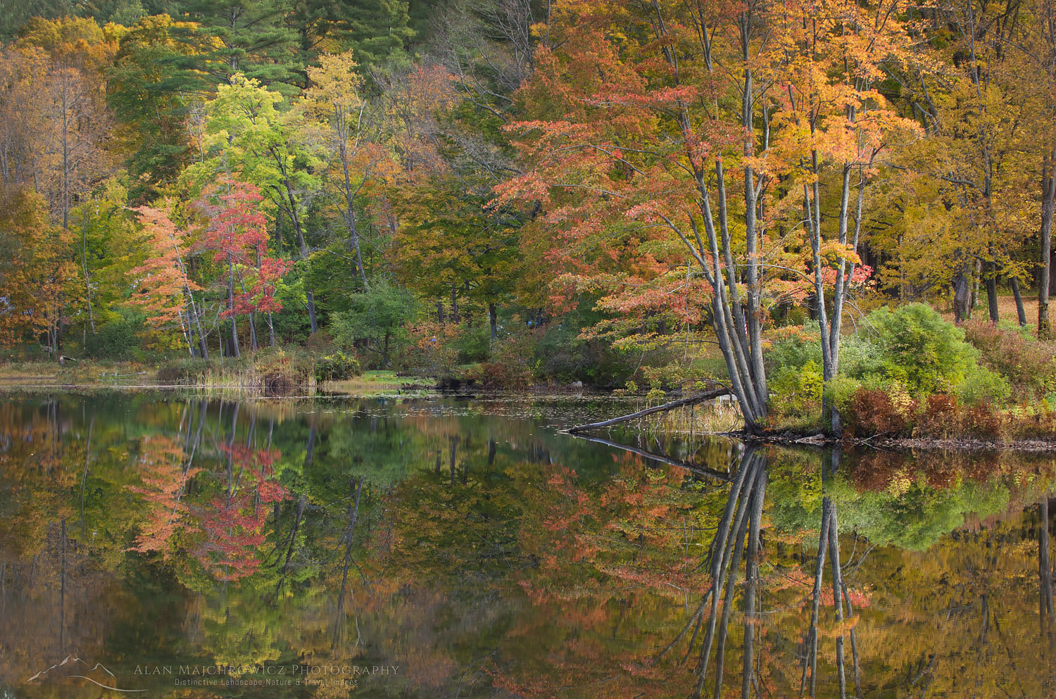 Vermont fall foliage reflection Lake Pauline