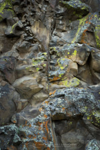Lichens on basalt