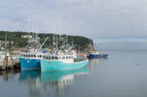 Fishing Boats New Brunswick