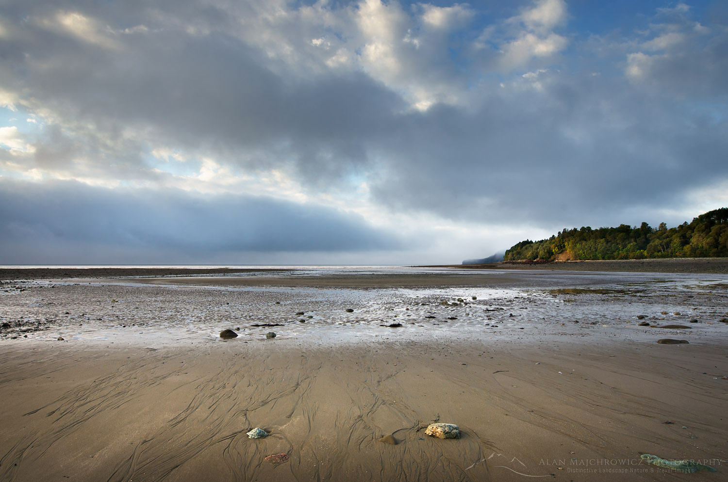 bay of fundy high and low tides