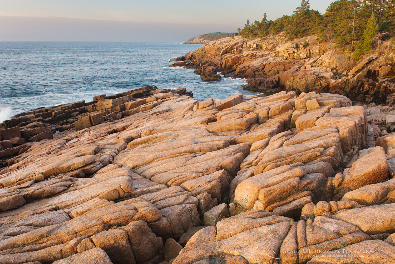 Colorful pink granite of Otter Point glows in the morning light, Acadia National park Maine 22835