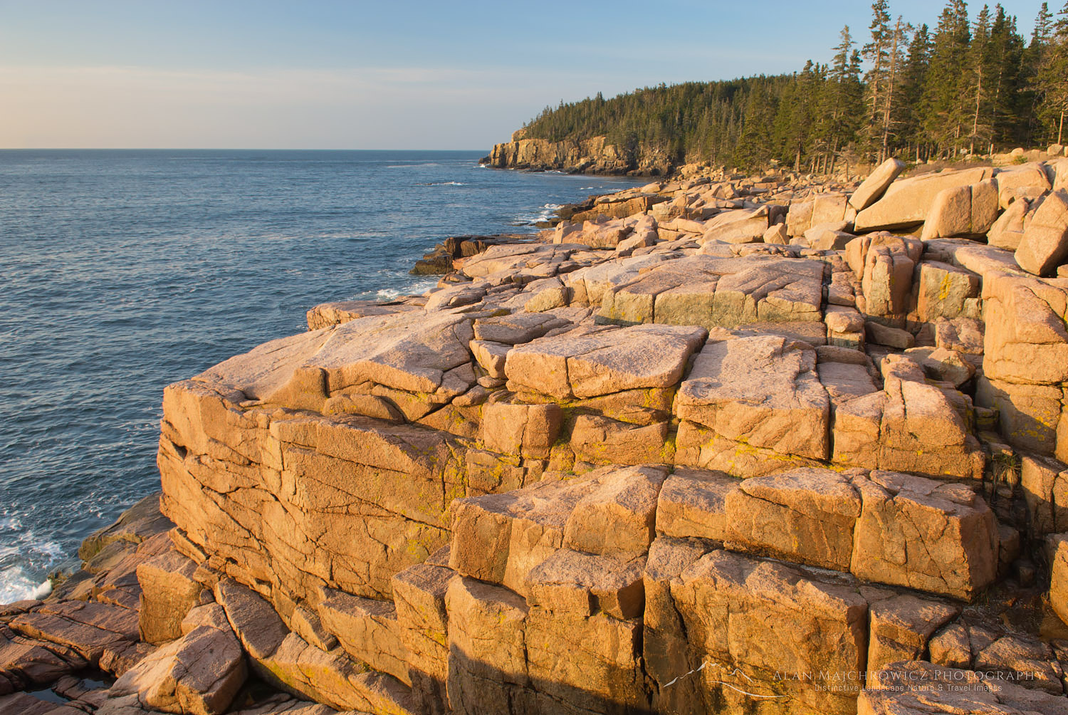 Colorful pink granite of Otter Point glows in the morning light, Acadia National park Maine #22875