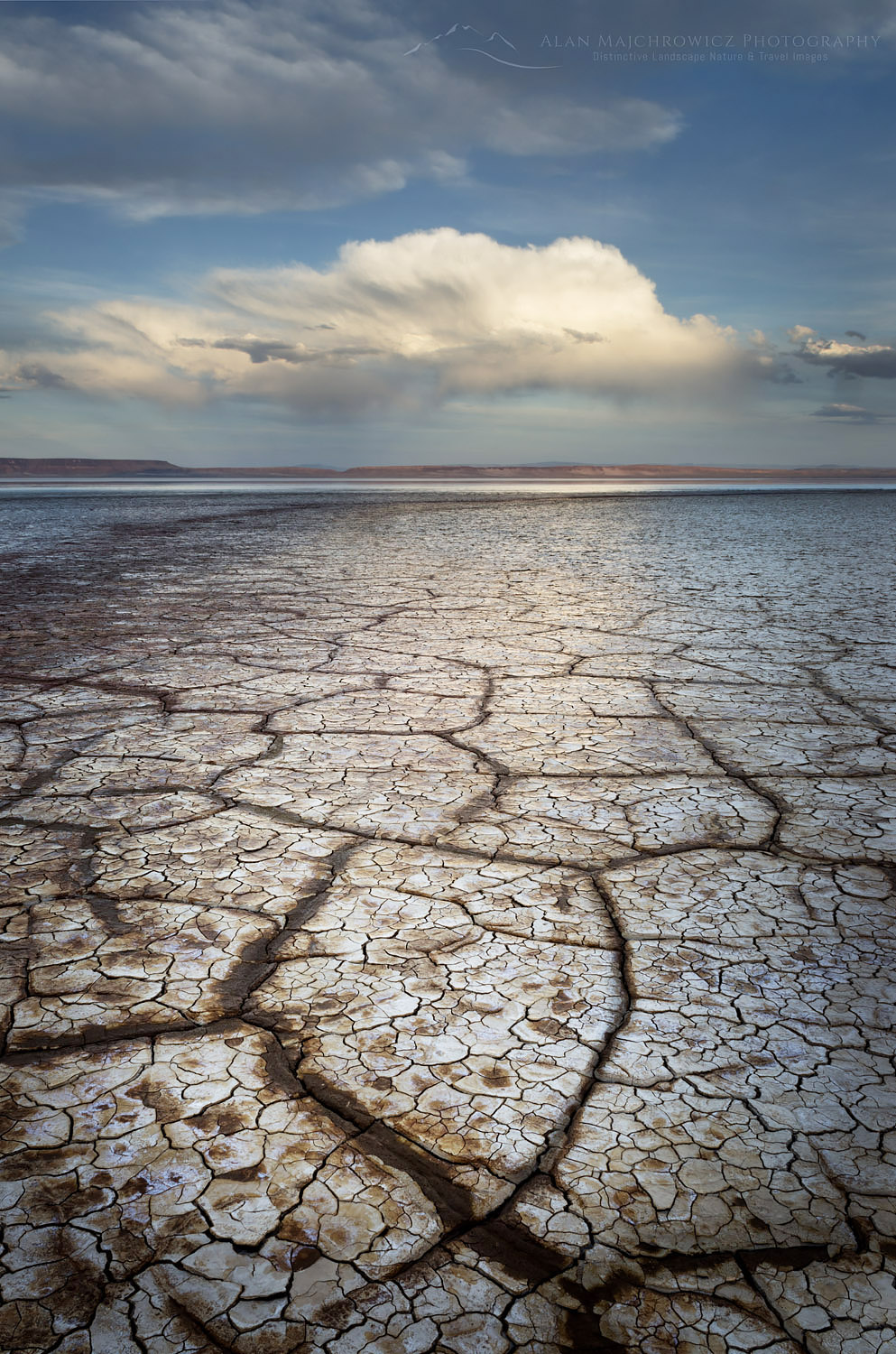 Geometric patterns in drying mud, Alvord Lake, a seasonal shallow alkali lake in Harney County, Oregon #61003