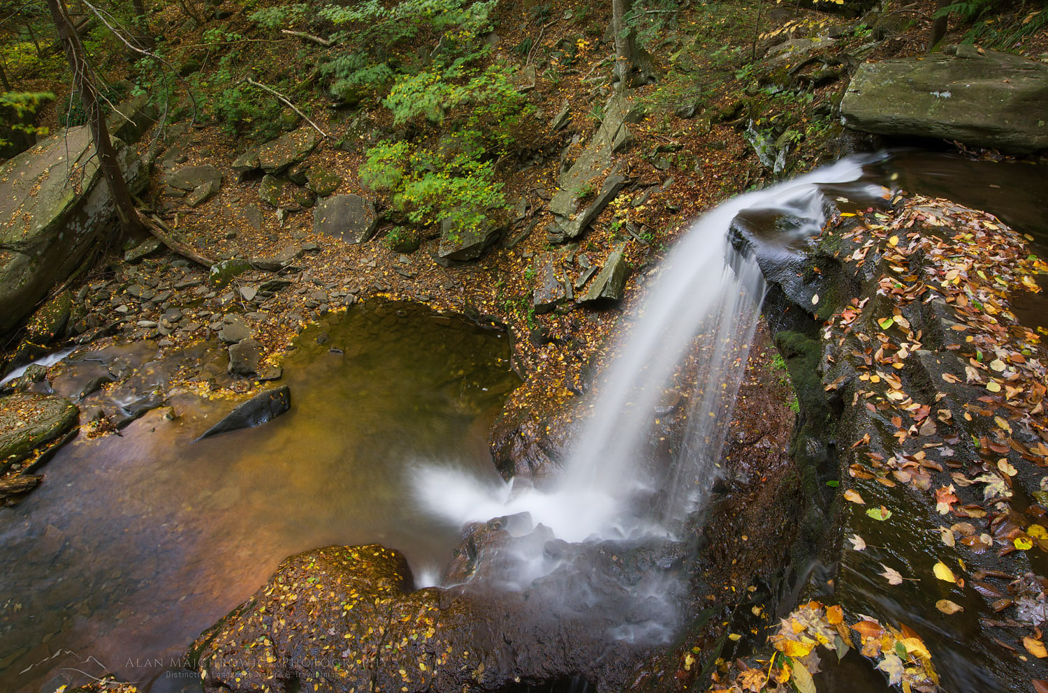 B. Reynolds Falls, Ricketts Glen State Park, Pennsylvania #59586