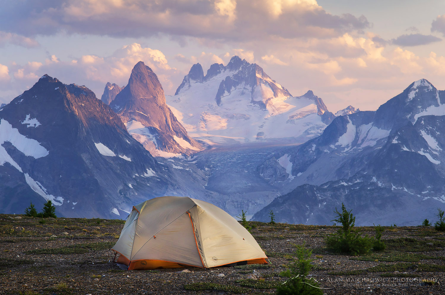 Tent at backcountry camp on Rocky Point Ridge. Howser Towers Vowell Glacier in the distance. Bugaboo Provincial Park Purcell Mountains British Columbia #62962