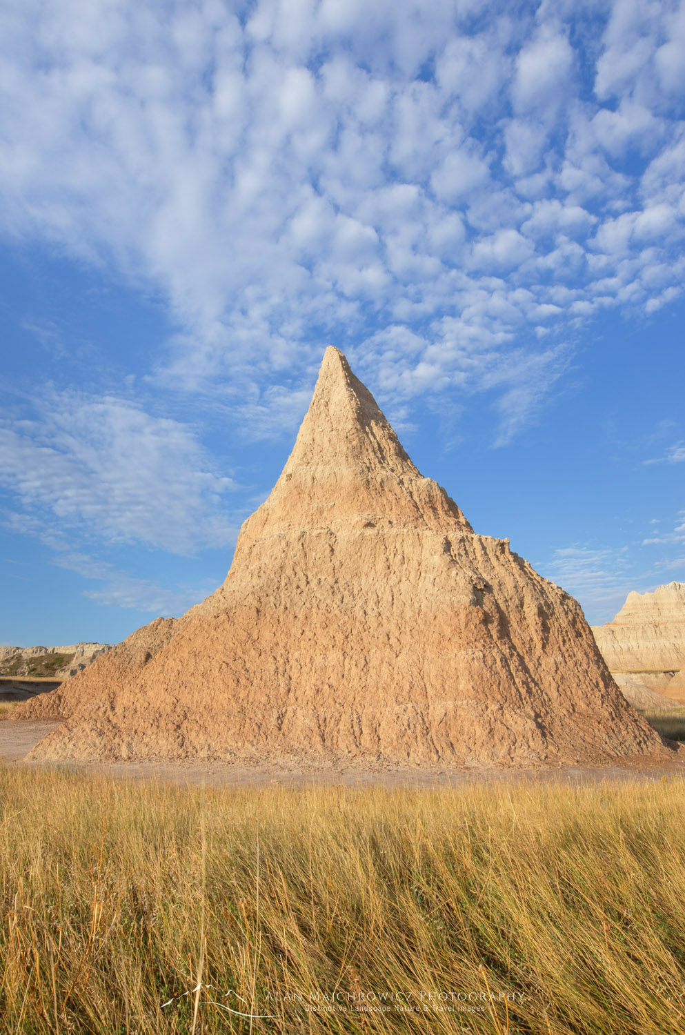 Badlands formations and mixed grass prairie grasses. Badlands National Park South Dakota #64360