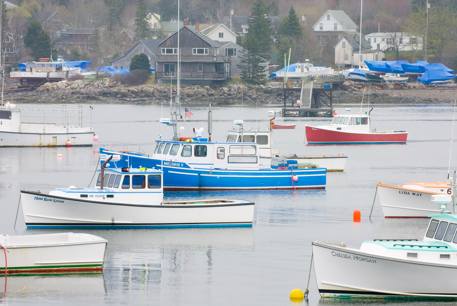 Lobster boats moored in Bass Harbor, Mount Desert Island Maine, #23013