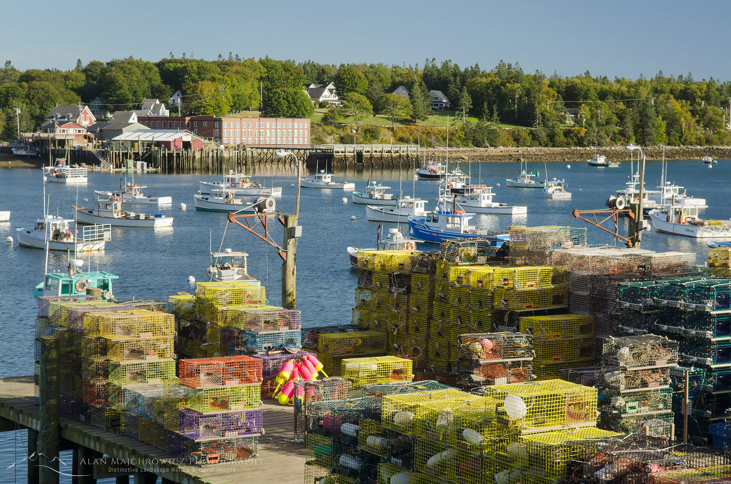 Lobster boats and lobster traps, Bass Harbor Maine #59010