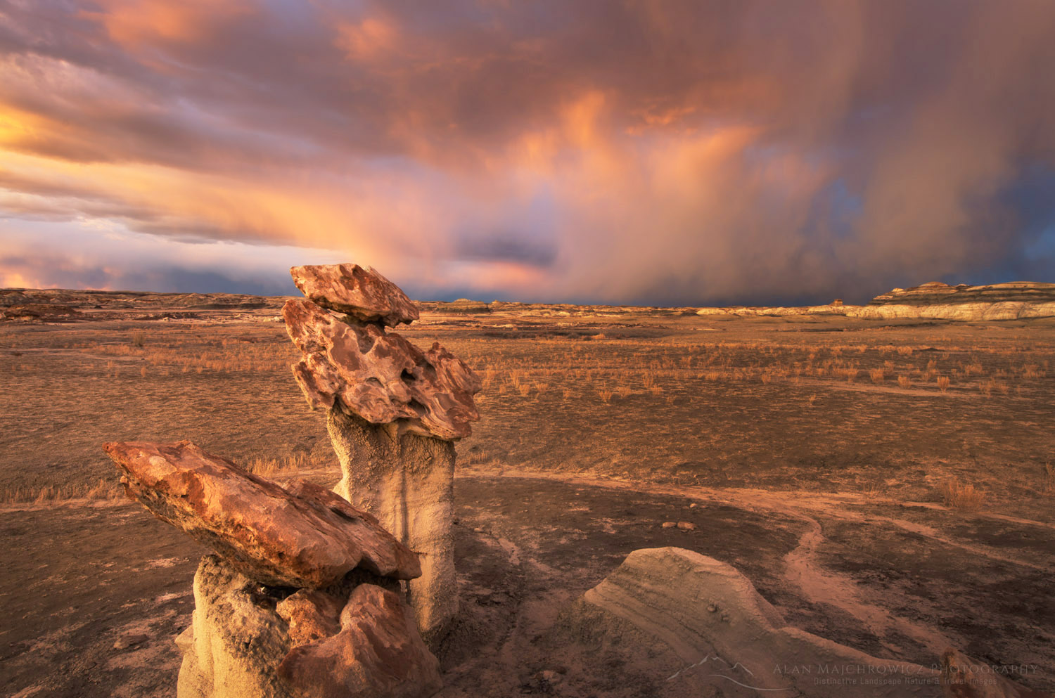Sunset storm and hoodoos at Bisti Badlands, Bisti/De-Na-Zin Wilderness, New Mexico #57421