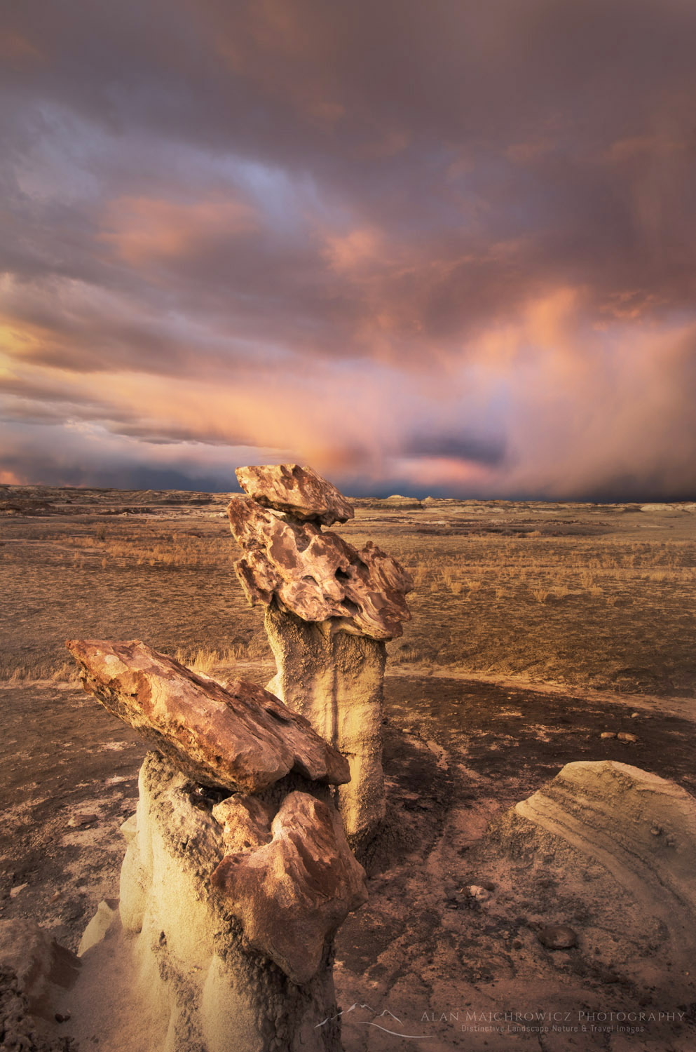 Sunset storm and hoodoos at Bisti Badlands, Bisti/De-Na-Zin Wilderness, New Mexico #57422