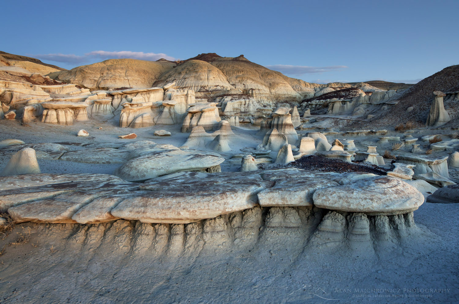 Bisti Badlands, Bisti/De-Na-Zin Wilderness, New Mexico #57511