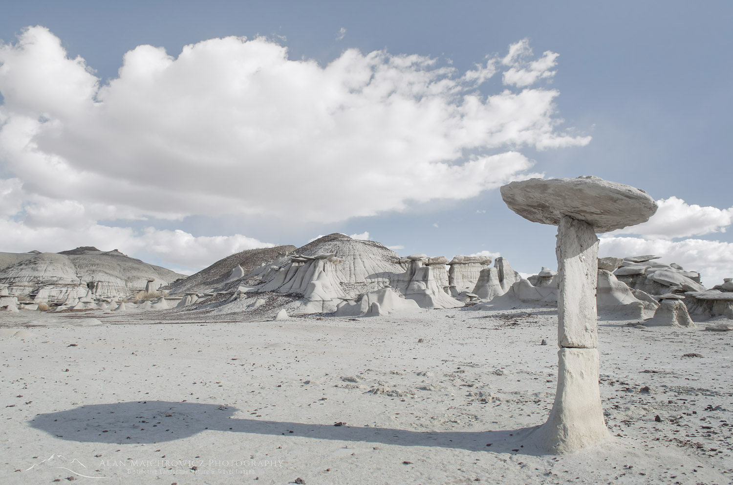 Hoodoos at Bisti Badlands, Bisti/De-Na-Zin Wilderness, New Mexico #57452r