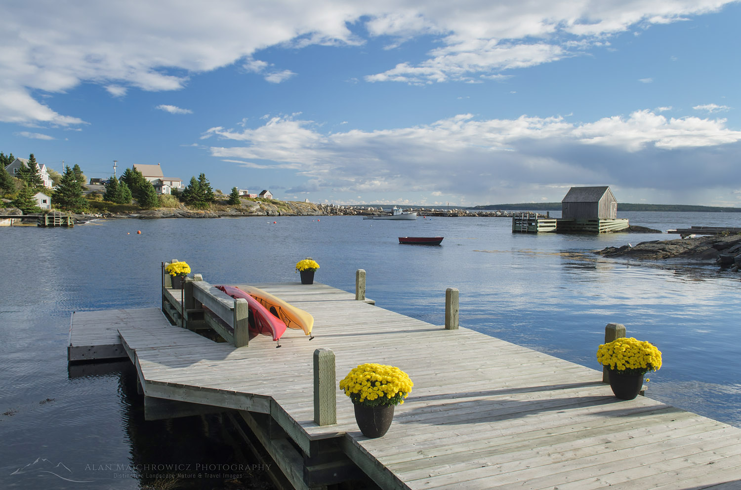 Boat dock with flowers Blue Rocks Nova Scotia #58778