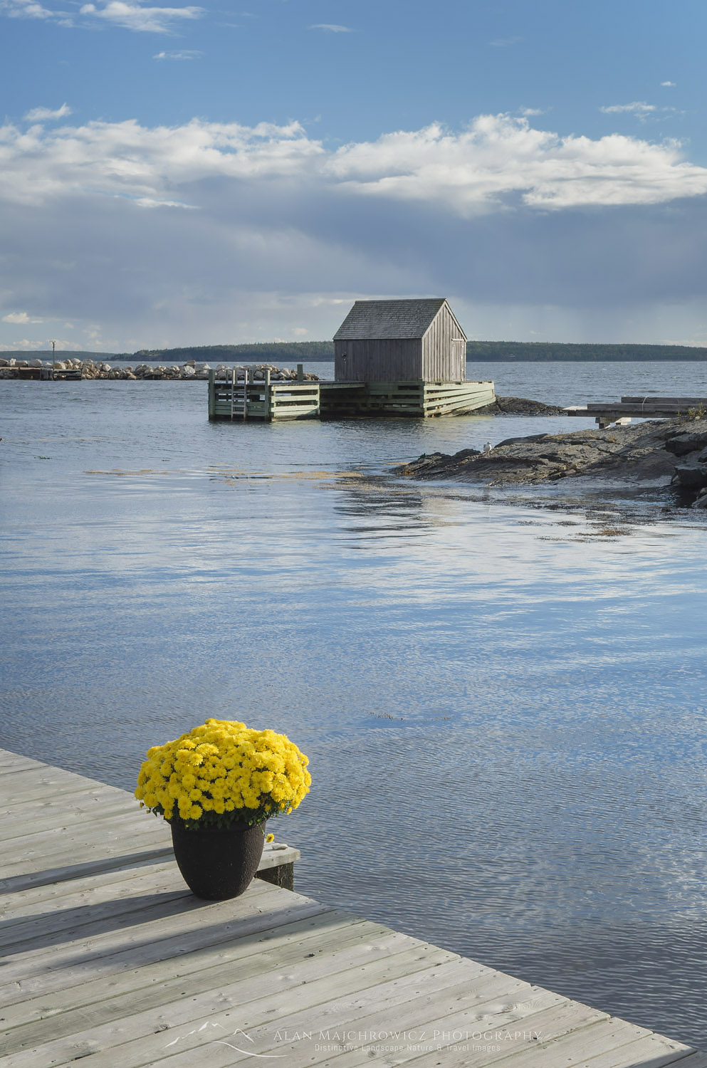 Boat dock with flowers Blue Rocks Nova Scotia #58780