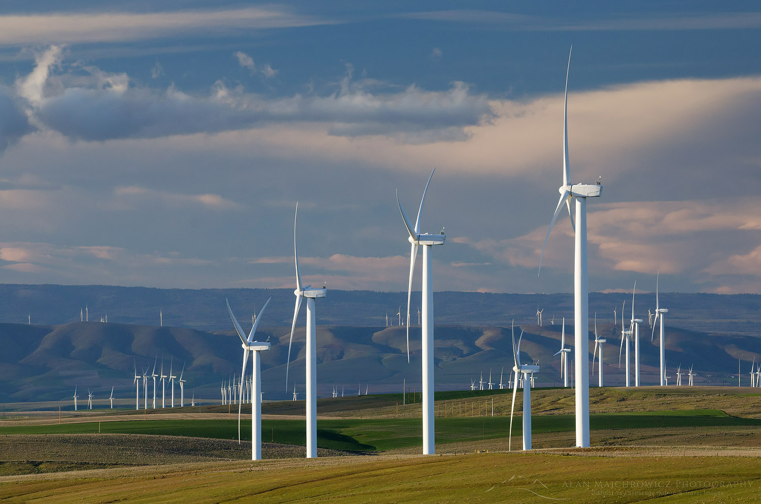 Wind Turbines in wheat fields on the Columbia Plateau, Oregon #59833