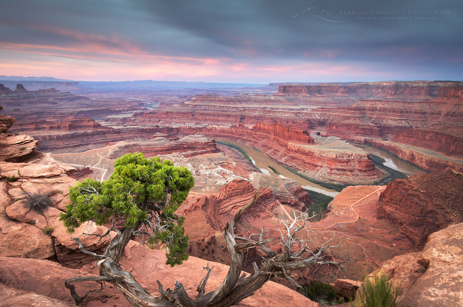 Colorado River seen from Dead Horse Point State Park, Utah #57708