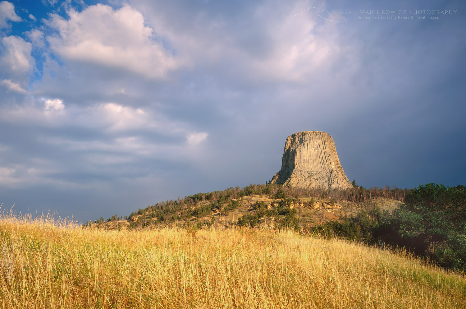 Clearing summer storm over Devils Tower, Devils Tower National Monument Wyoming #4502