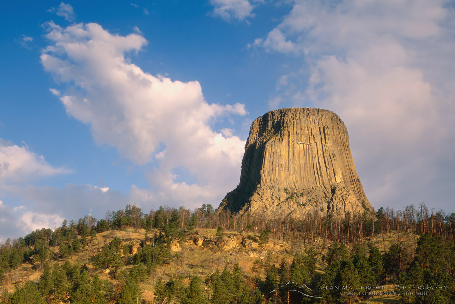 Devils Tower National Monument Wyoming #4503