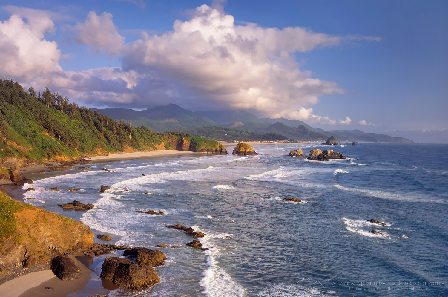 View of Canon Beach from Ecola State Park Oregon #4771