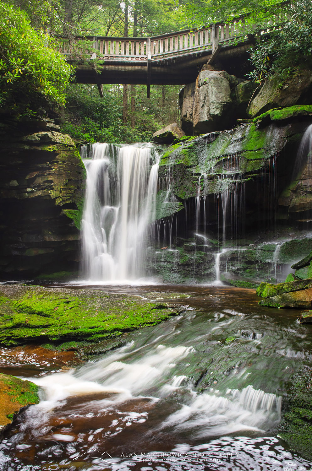 First or Upper Elakala Falls, Blackwater Falls State Park, West Virginia #63340