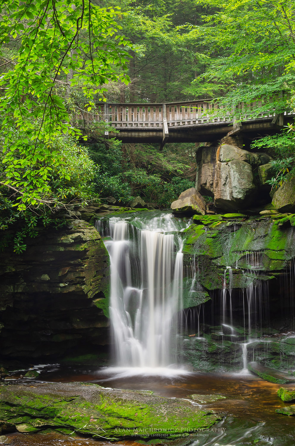 First or Upper Elakala Falls, Blackwater Falls State Park, West Virginia #63352