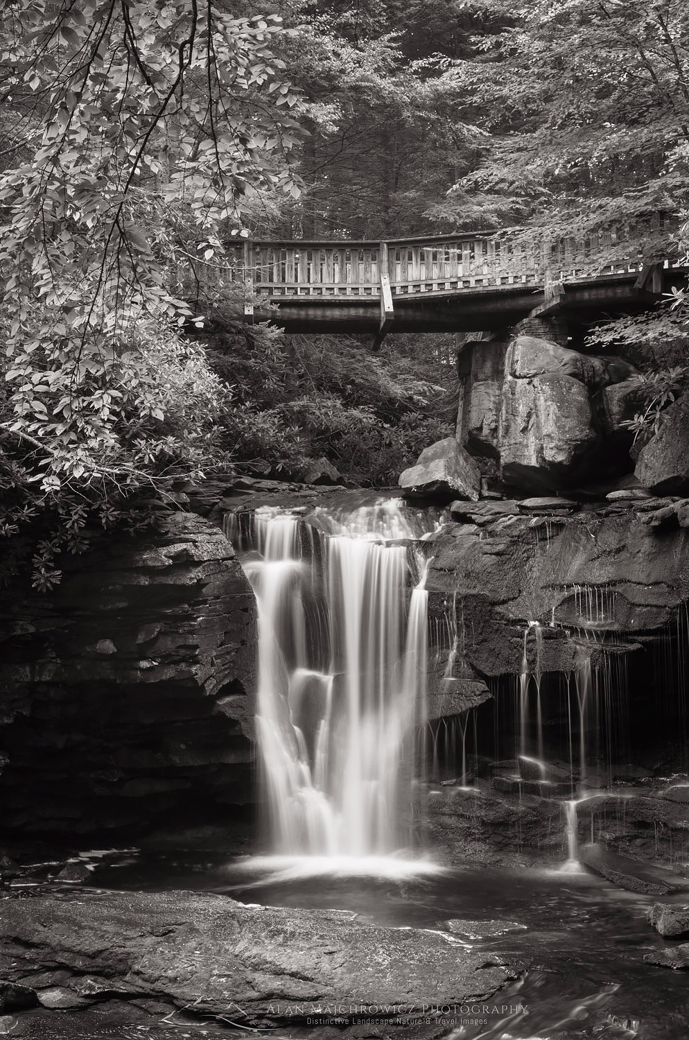First or Upper Elakala Falls, Blackwater Falls State Park, West Virginia #63352bw