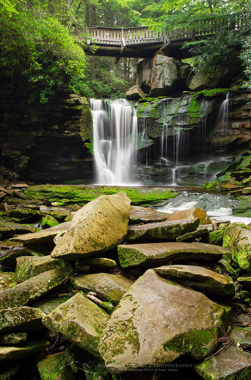 First or Upper Elakala Falls, Blackwater Falls State Park, West Virginia #63361