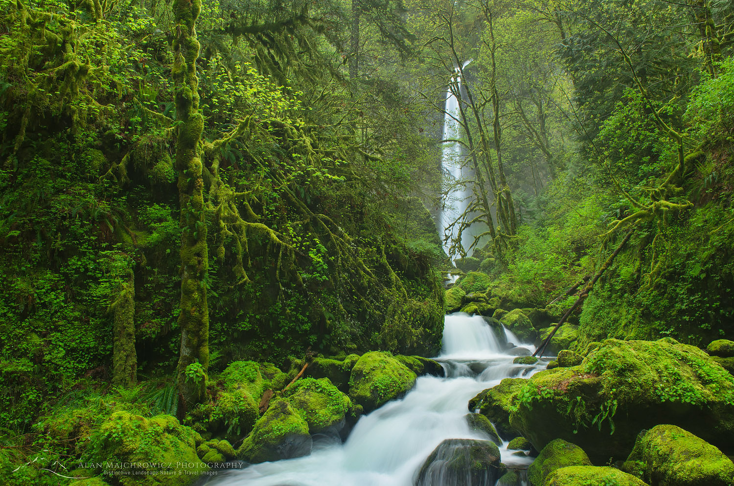 Elowah Falls and McCord Creek, Columbia River Gorge National Scenic Area, Oregon #47789
