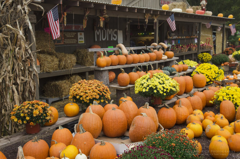 Pennsylvania Farmstand - Alan Majchrowicz Photography