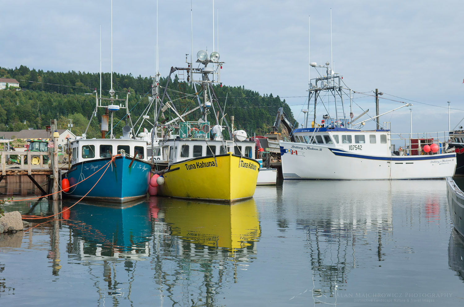 Fishing Boats, Bay of Fundy, Alma, New Brunswick #58496