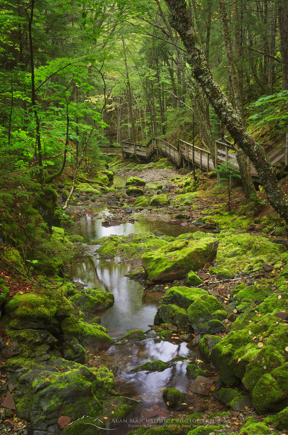 Dickson Falls Trail, Fundy National Park New Brunswick #58487