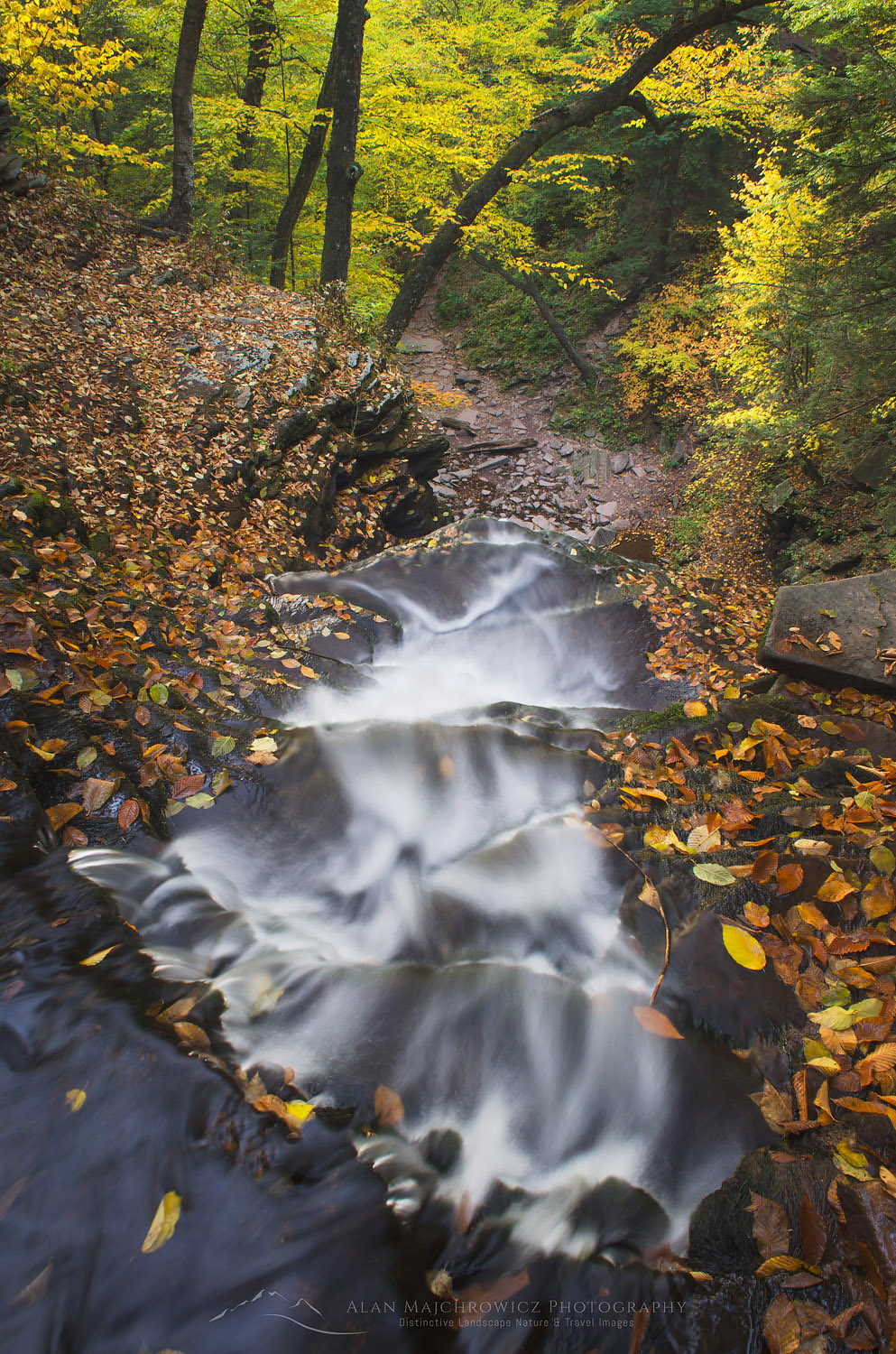 Ganoga Falls, Ricketts Glen Pennsylvania State Park Pennsylvania #59627
