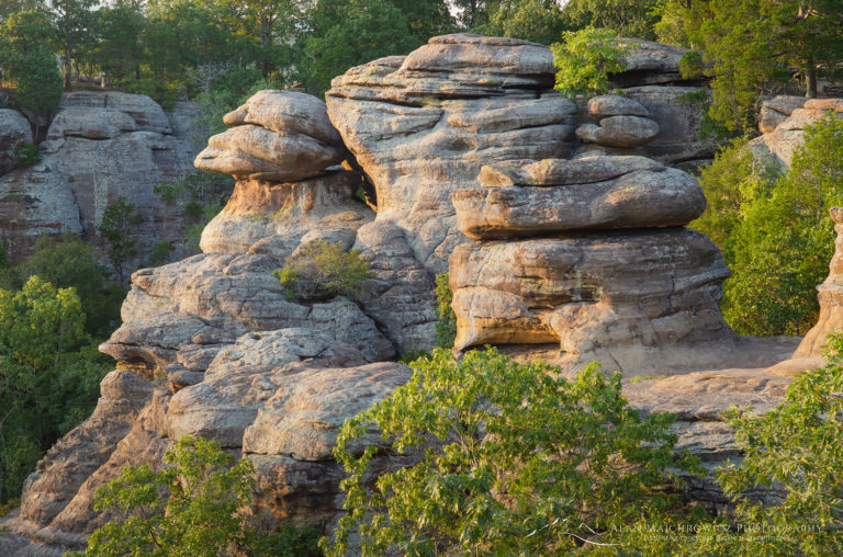 Garden of the Gods Illinois Alan Majchrowicz Photography