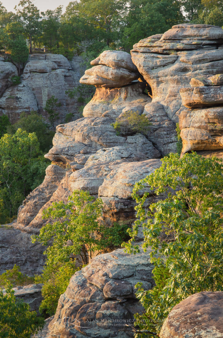 Garden of the Gods Illinois - Alan Majchrowicz Photography