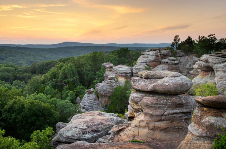 Garden Of The Gods Illinois Alan Majchrowicz Photography   Garden Of The Gods Illinois 63177 768x509 