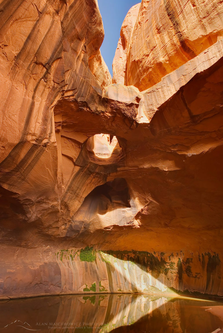 Golden Cathedral, Neon Canyon Utah Alan Majchrowicz Photography