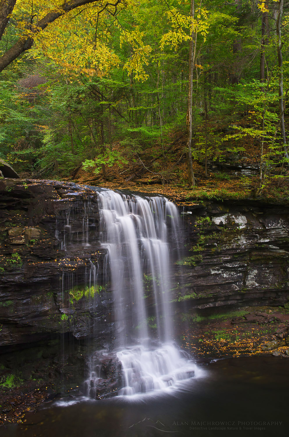 Harrison Wright Falls, Ricketts Glen State Park, Pennsylvania #59573