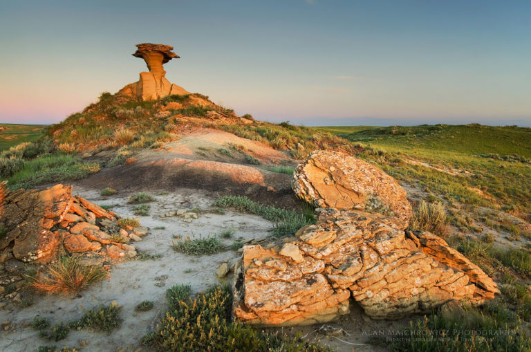 Sandstone Hoodoo Near Hell Creek Montana - Alan Majchrowicz Photography