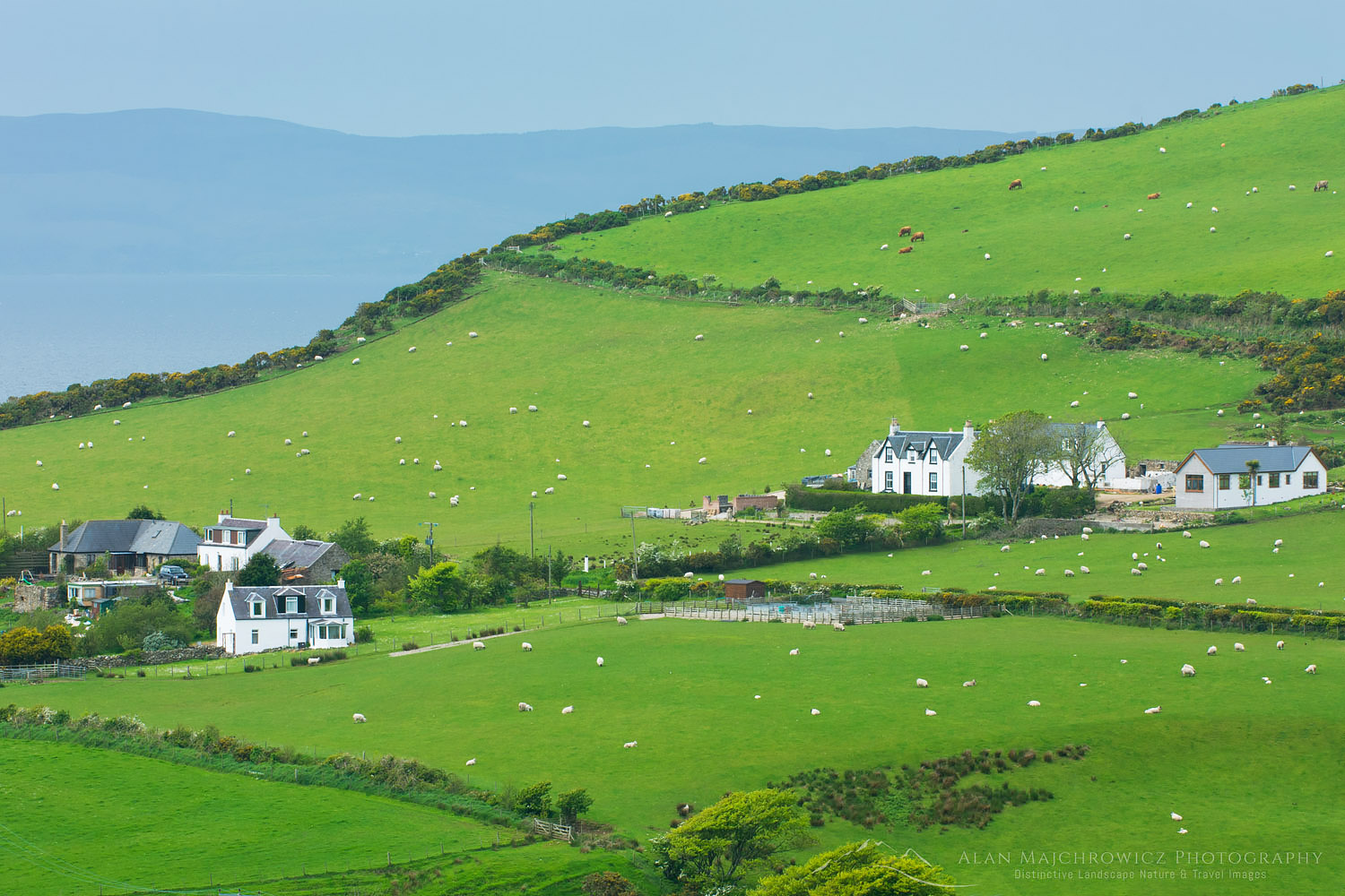 Rural scene Isle of Arran Scotland #11055