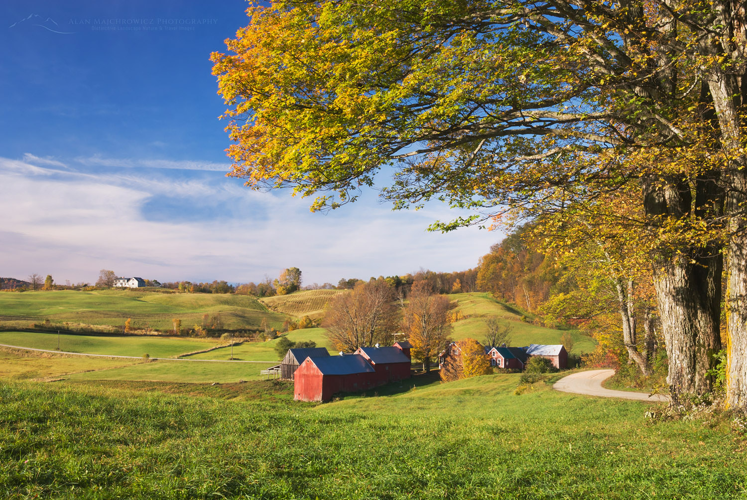 Jenne Farm in autumn Vermont #7643