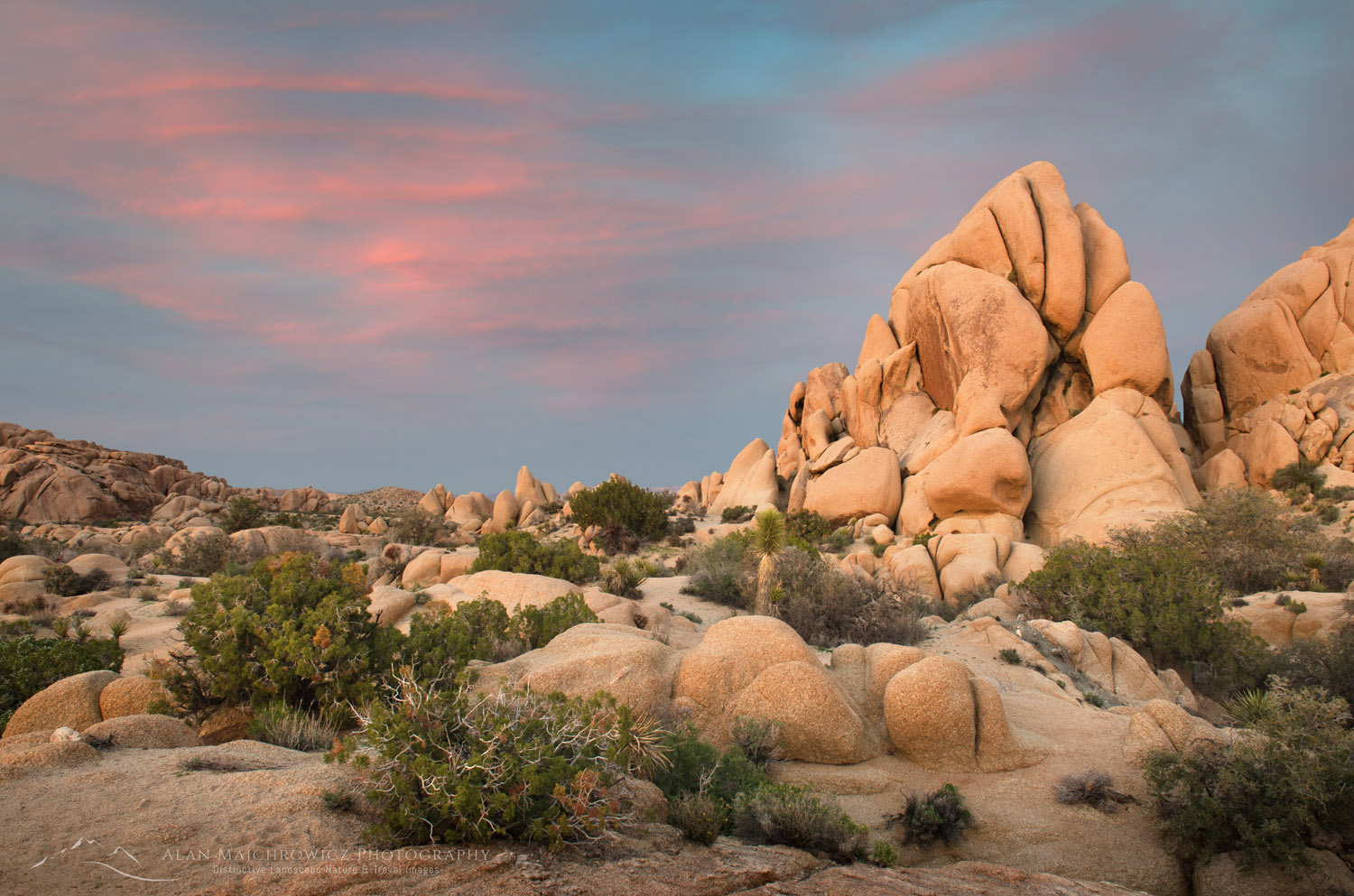 Joshua Tree National Park - Alan Majchrowicz Photography