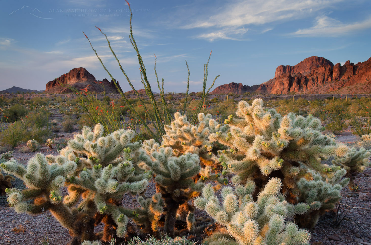 Kofa Mountains Wildlife Refuge Arizona - Alan Majchrowicz Photography